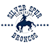 Logo for SSES